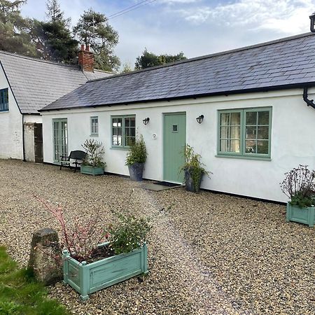 Cottages At Woodlands, Grooms Cottage Wareham Kültér fotó